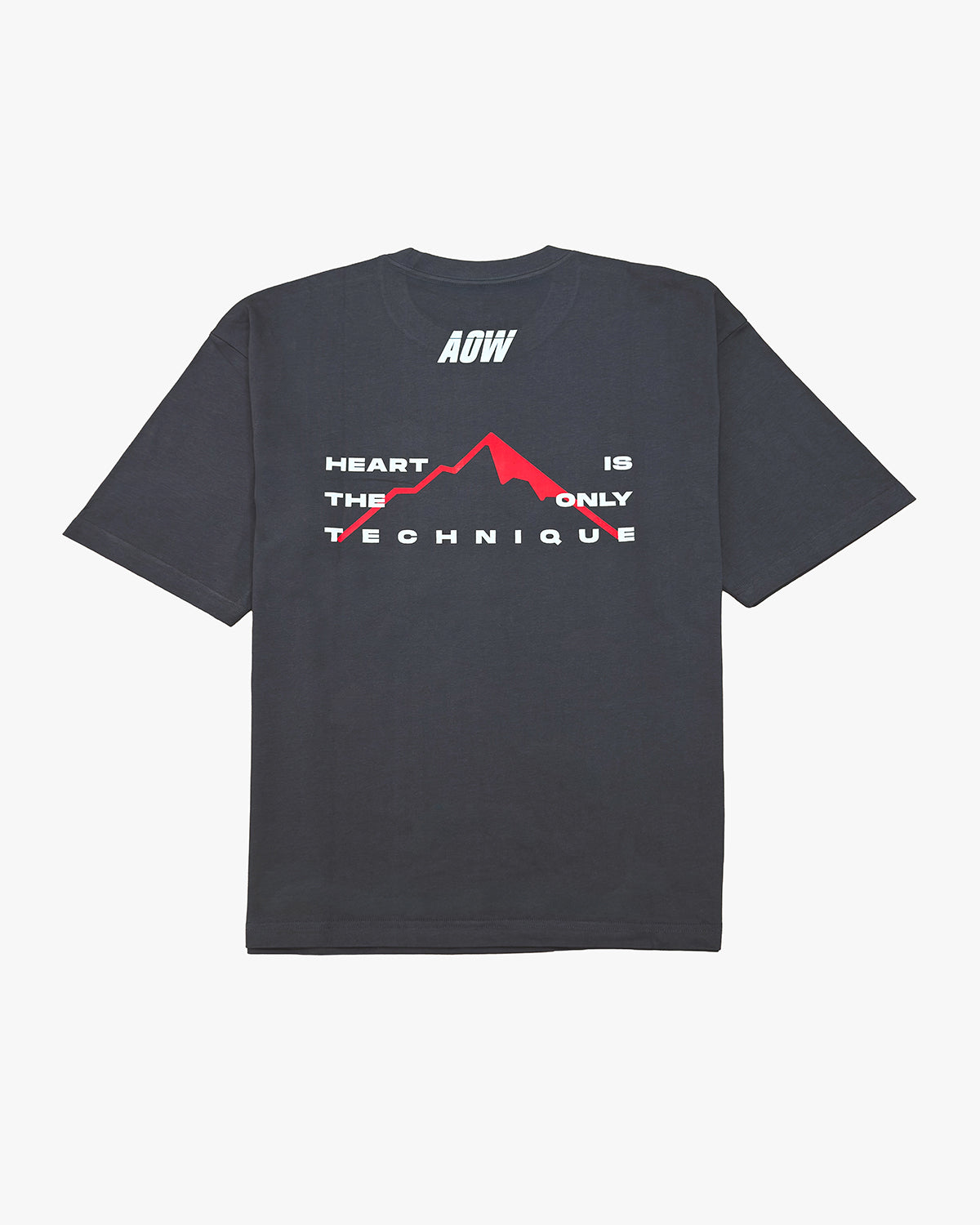 LFMT T-SHIRT GREY
